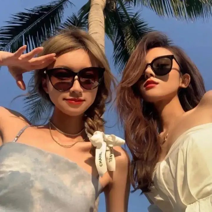 嗜血狂鲨